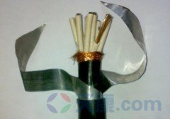 天康鎧裝屏蔽計(jì)算機(jī)電纜 天康鎧裝屏蔽計(jì)算機(jī)電纜